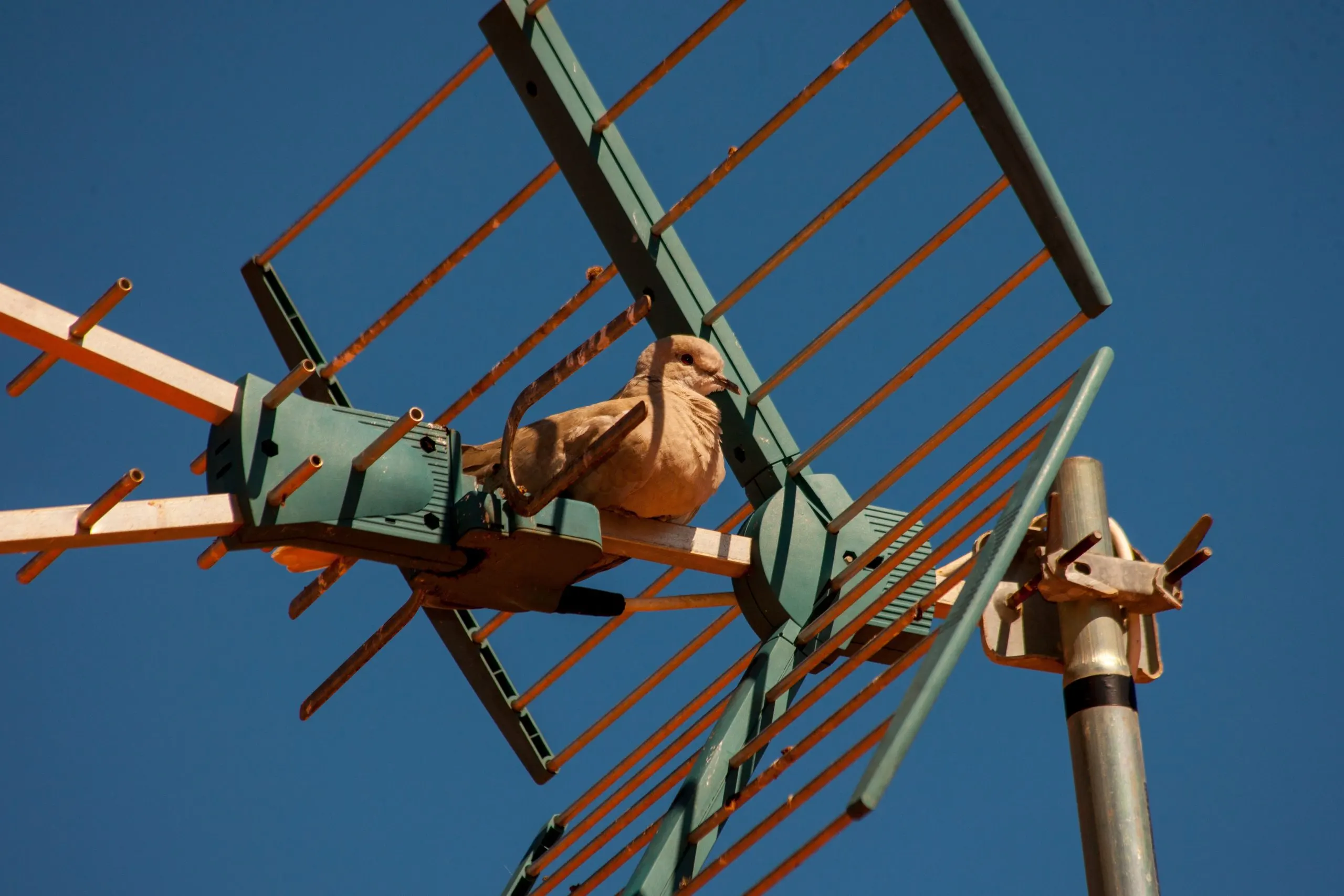 Australia Antenna Transducer and Radome Market outlook to 2035 Australia-Antenna-Transducer-and-Radome-Market-scaled