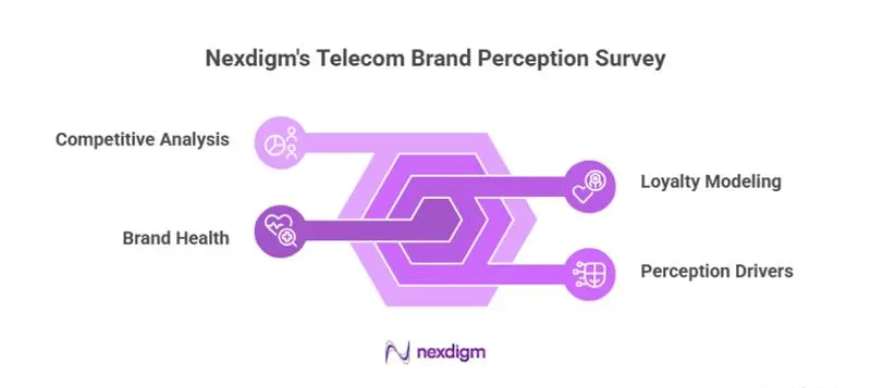 Brand Perception Consumer Survey Offering