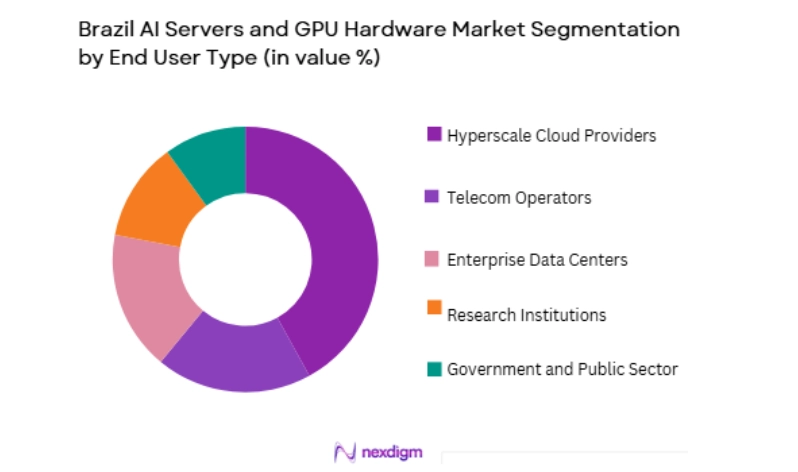 Brazil AI Servers and GPU Hardware Market by end user