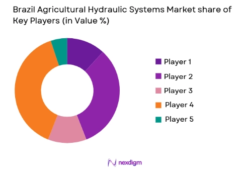 Brazil Agricultural Hydraulic Systems Market share of key players