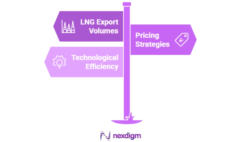 Competitive Positioning in LNG Exports