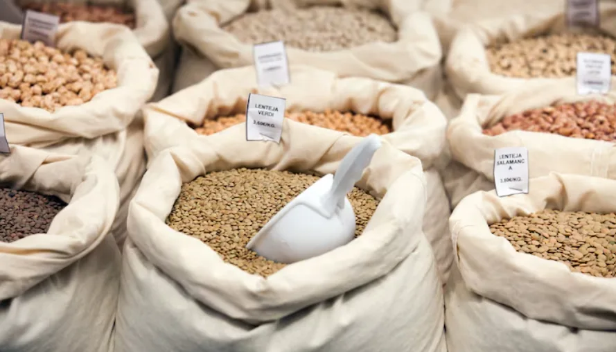India Seed Market Outlook 2035 India-Seed-Market