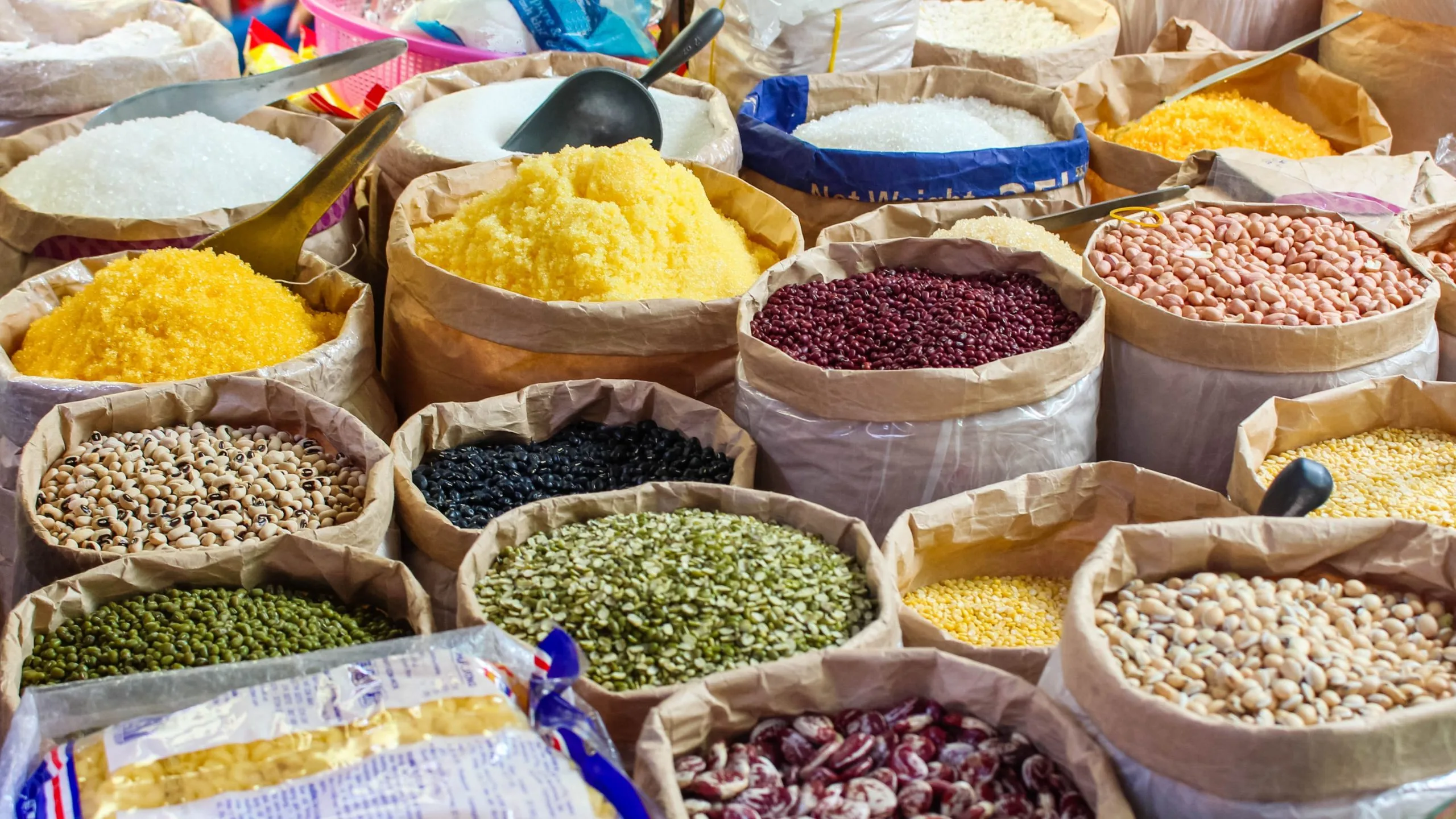 India Seed Market Set to Cross $15 Billion by 2035 as Hybrid Adoption Nears 60 Percent India-seed-industry-scaled