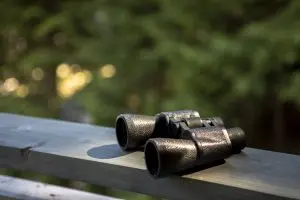 India tactical optics Market outlook to 2035
