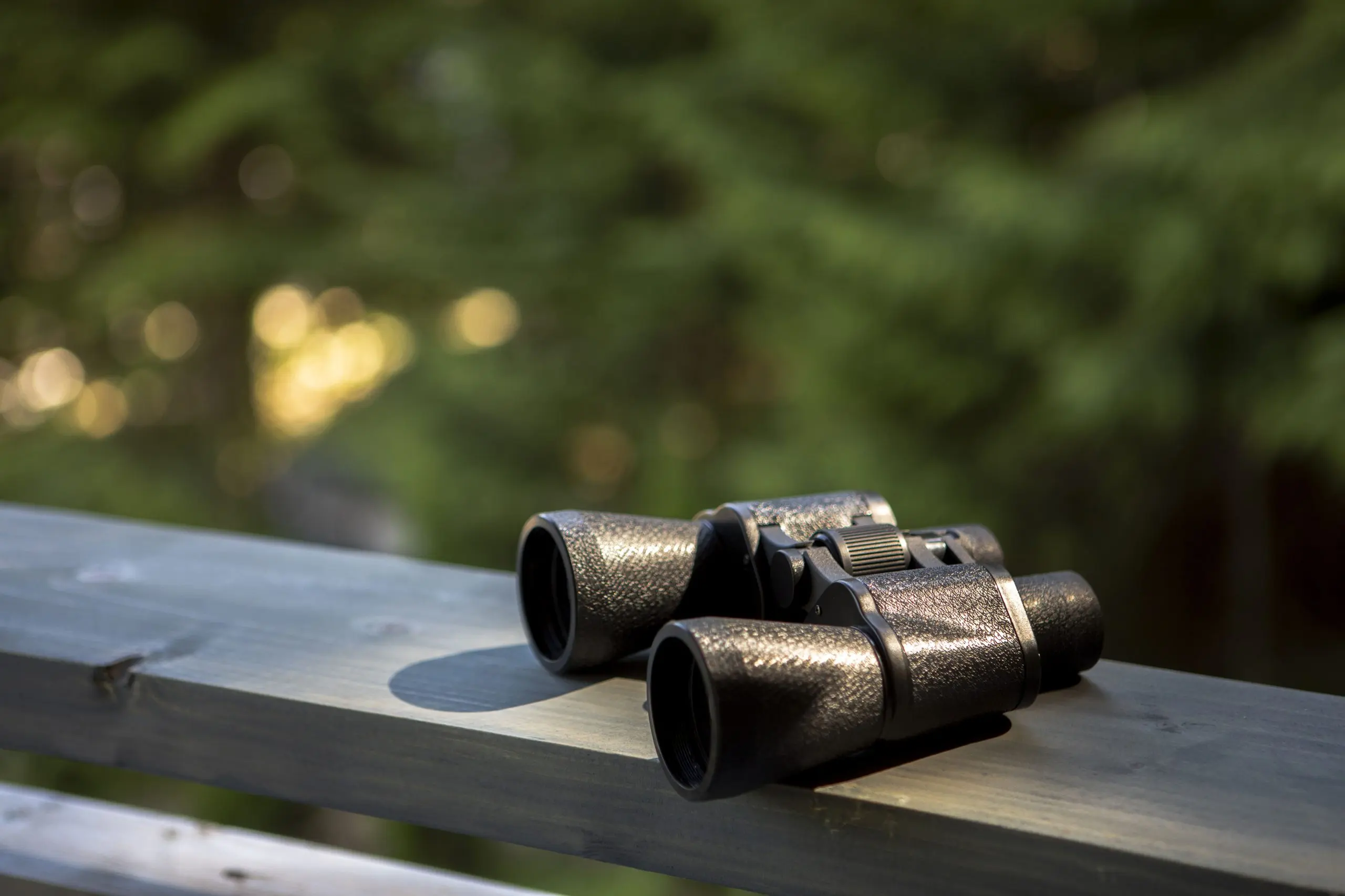 India tactical optics Market outlook to 2035 India-tactical-optics-Market-scaled