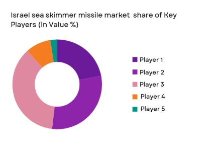 Israel Sea Skimmer Missile Market share of major playerss