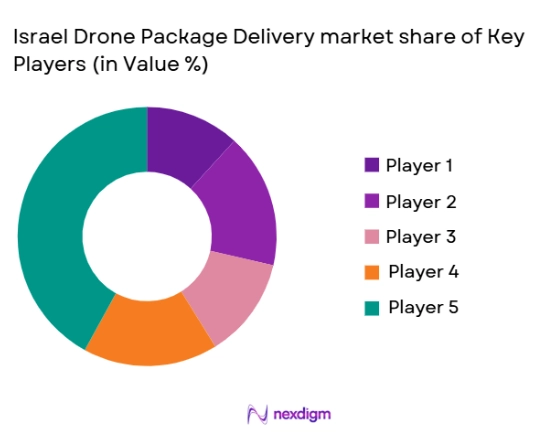 Israel drone package delivery Market share of key players