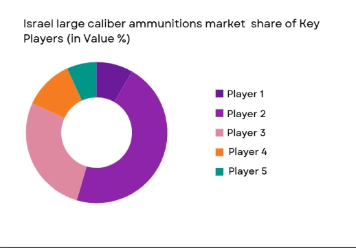 Israel large caliber ammunitions market shares of major players