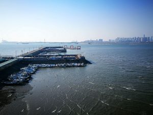 Japan autonomous ships Market outlook to 2035