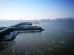 Japan autonomous ships Market outlook to 2035