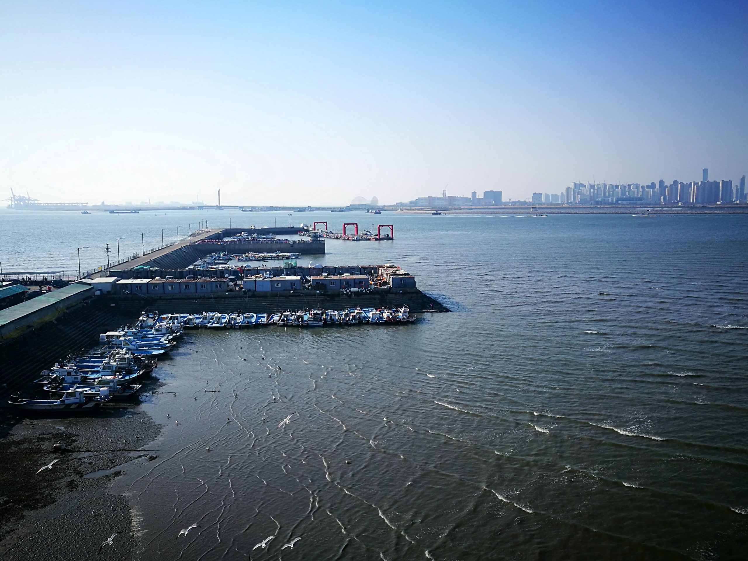 Japan-autonomous-ships-1-scaled