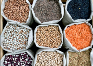 KSA Seed Market Outlook 2035