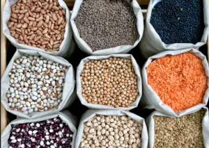 KSA Seed Market Outlook 2035