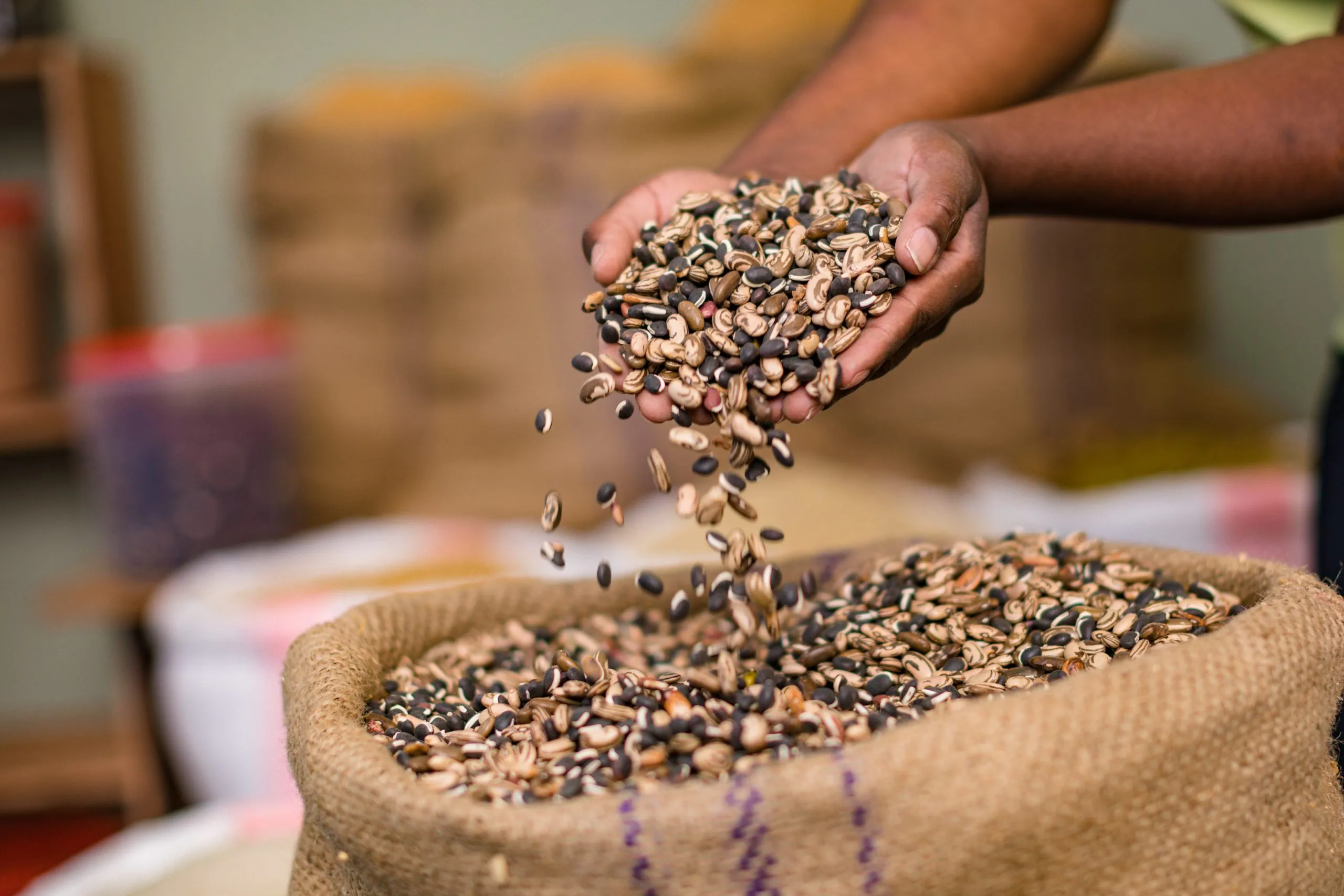 KSA Seed Market Heads to 2035 with Over 90% Seed Imports and Rapid Growth in Controlled Environment Farming KSA-seed-industry-scaled