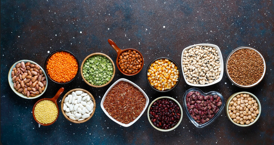 Malaysia Seed Market Outlook 2035 Malaysia-Seed-Market