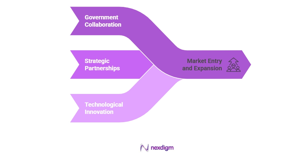 Market Entry and Expansion Strategy