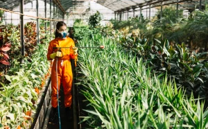 Philippines Agrochemical Market Outlook to 2035
