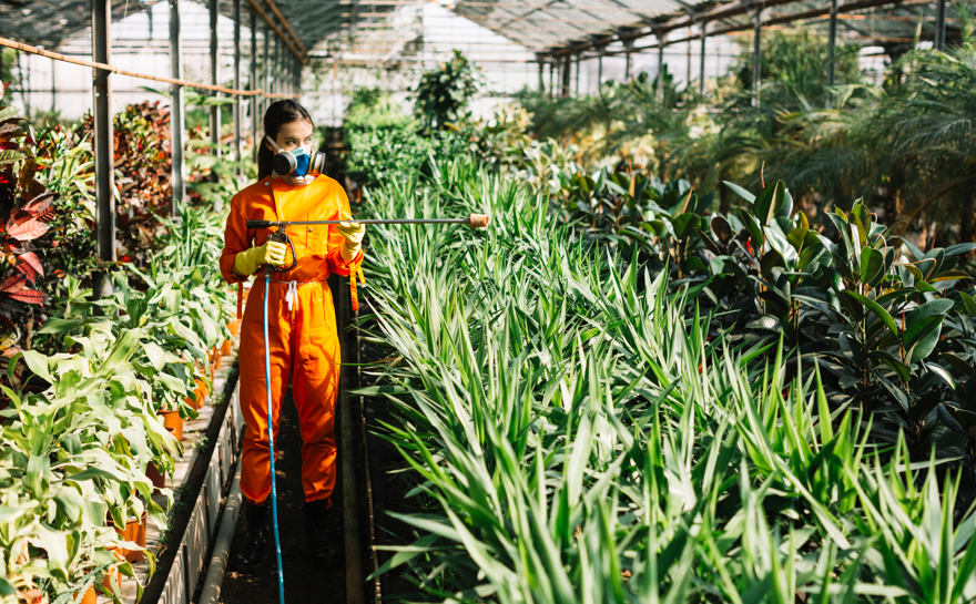 Philippines Agrochemical Market Outlook to 2035 Philippines-Agrochemical