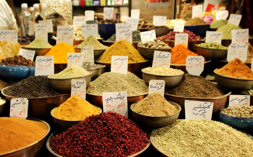 Philippines Seed Market Outlook 2035 Philippines-Seed-Market
