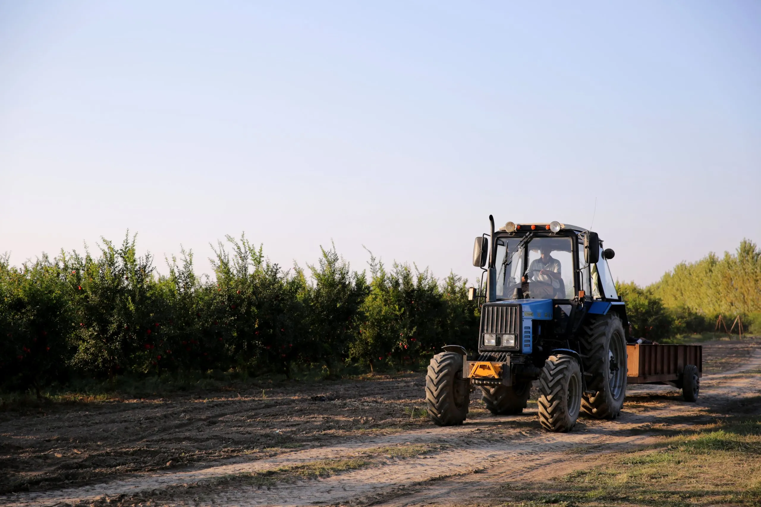 Low Farm Mechanization and 30 Percent Post-Harvest Losses to Drive Philippines Used Tractor Demand Through 2035 Philippines-used-tractor-industry-scaled