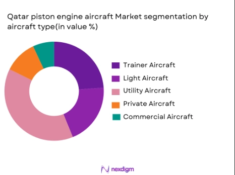 Qatar piston engine aircraft market segmentation by aircraft type