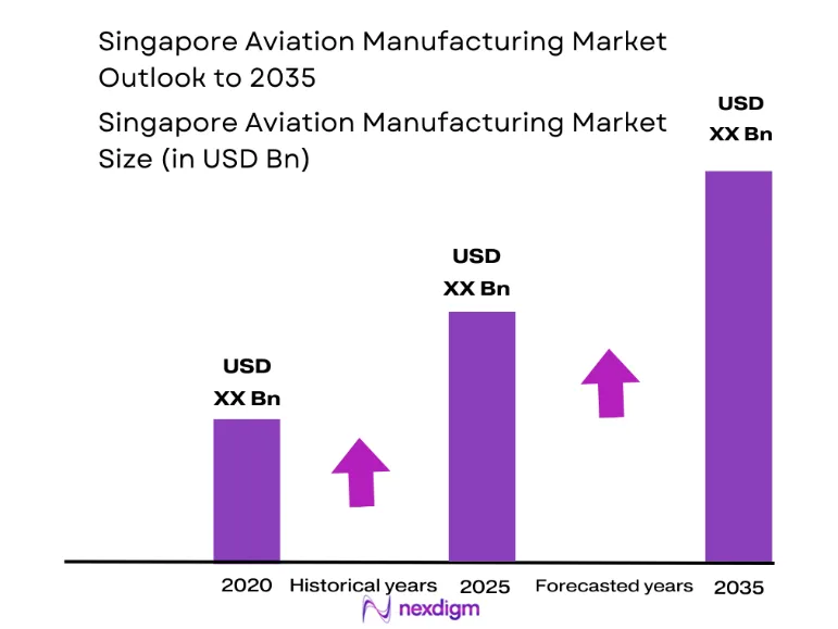 Singapore Aviation Manufacturing Market size