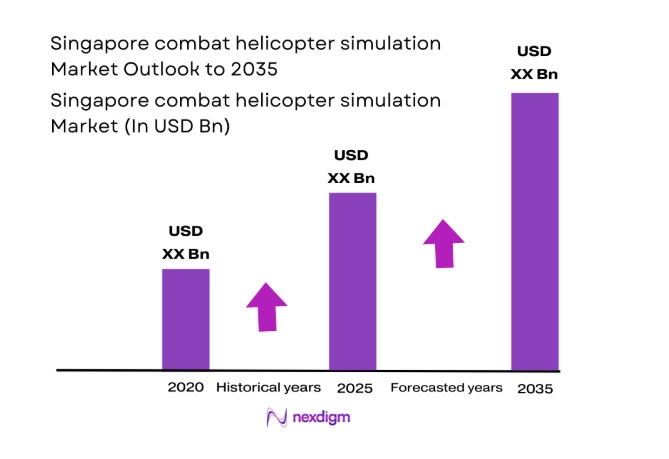 Singapore combat helicopter simulation
