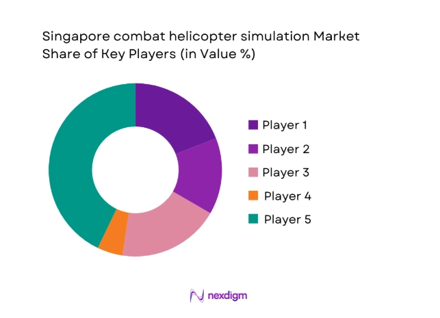Singapore combat helicopter simulation