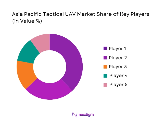Asia Pacific Tactical UAV Market