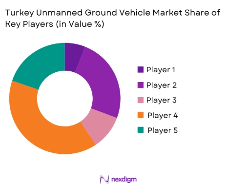 Turkey Unmanned Ground Vehicle market share of key players