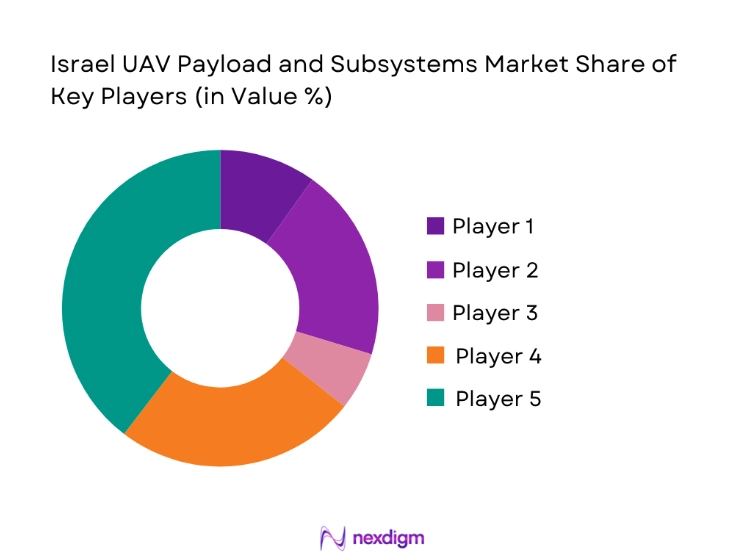 Israel UAV Payload and Subsystems Market share