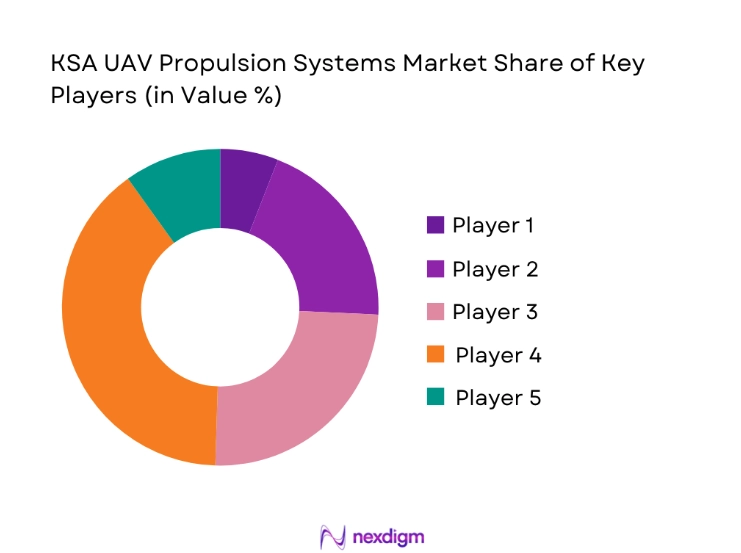 KSA UAV Propulsion Systems Market share