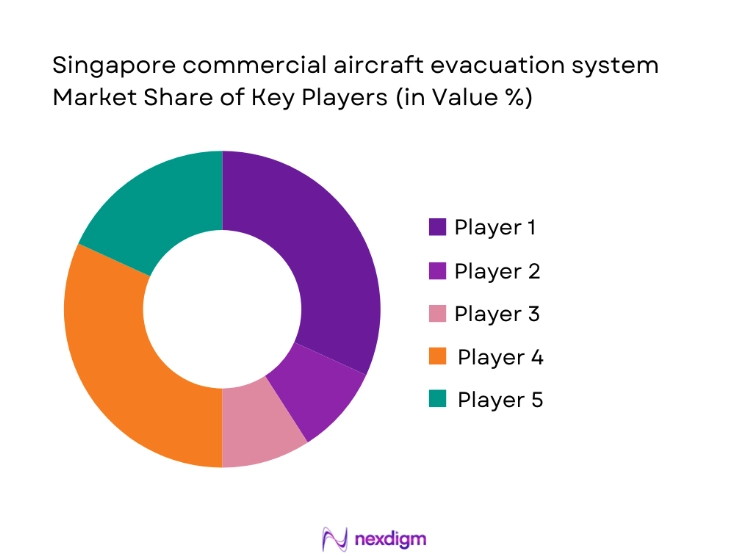 Singapore Commercial Aircraft Evacuation System Market share