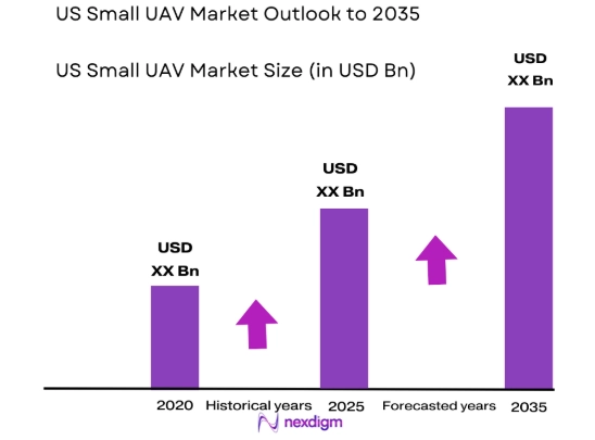 US Small UAV Market size