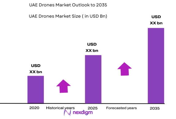 UAE drones market size