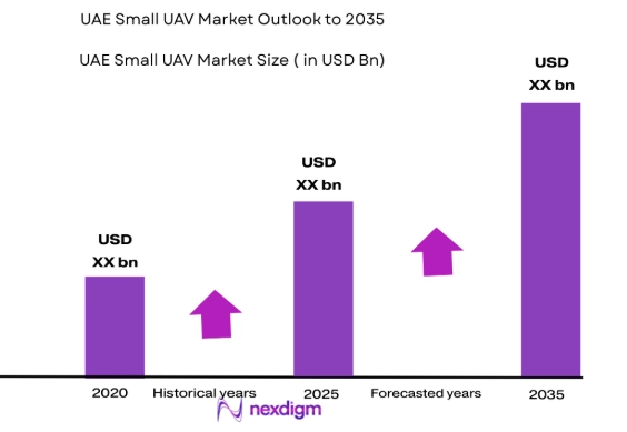 UAE small UAV Market size