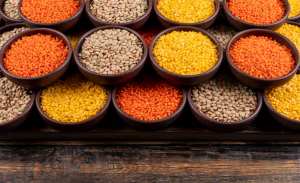 Singapore Seed Market Outlook 2035