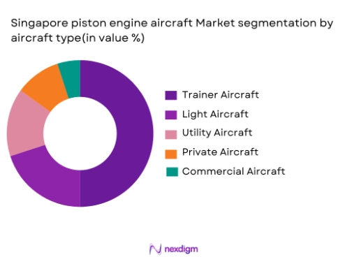 Singapore piston engine aircraft market segmentation by aircraft type
