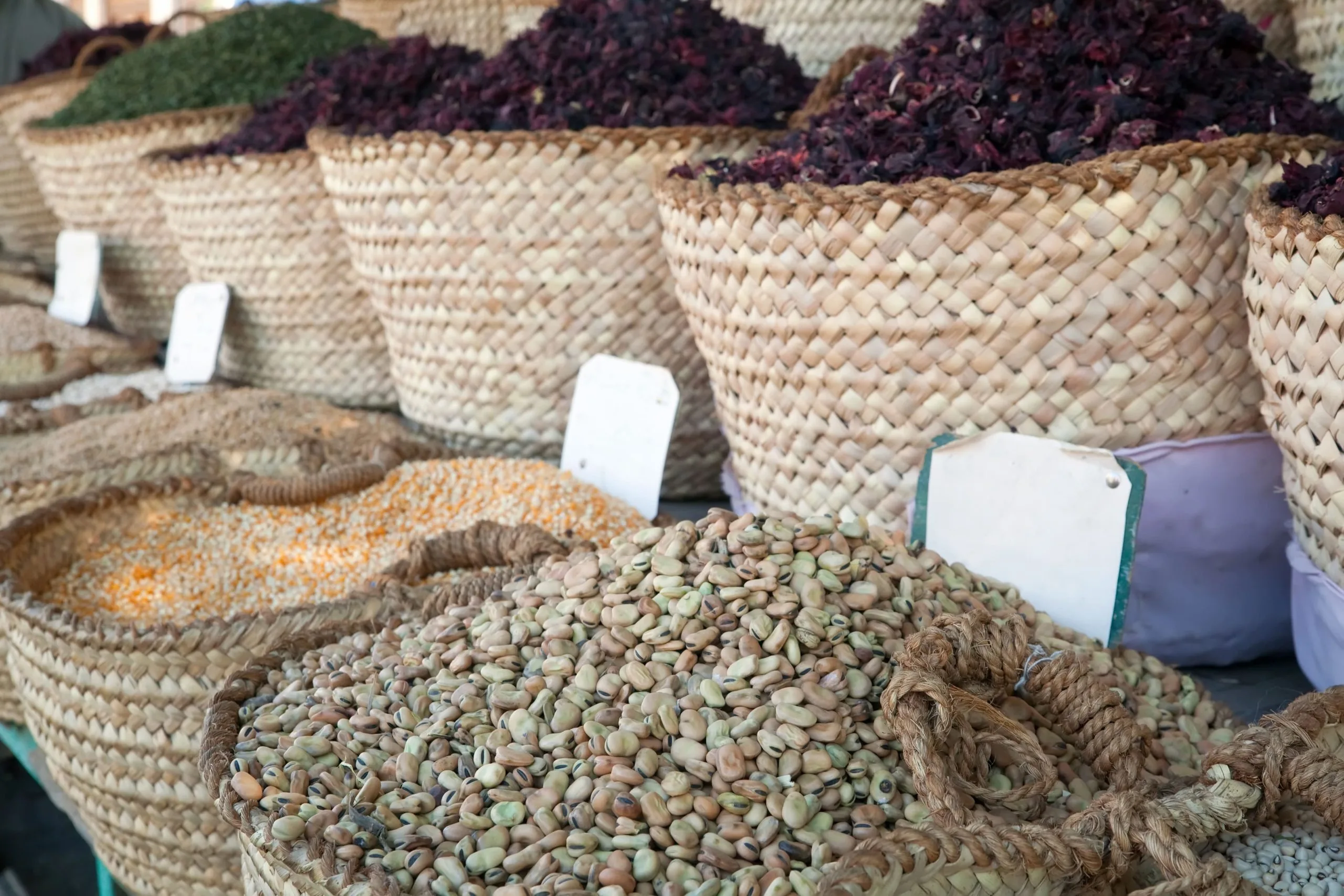 Singapore Seed Market Set for Steady Growth as 30 by 30 Goal Drives Urban Farming Demand Through 2035 Singapore-seed-industry-scaled