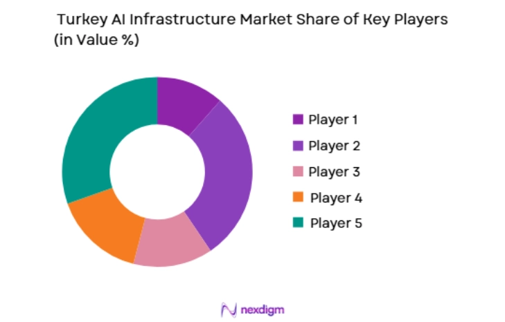 Turkey AI Infrastructure Market key players