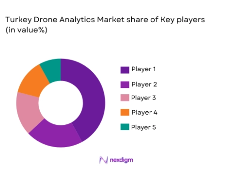 Turkey Drone Analytics Market share of major players