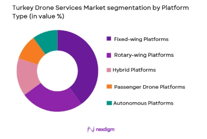 Turkey Drone Services Market Segmentation by platform type