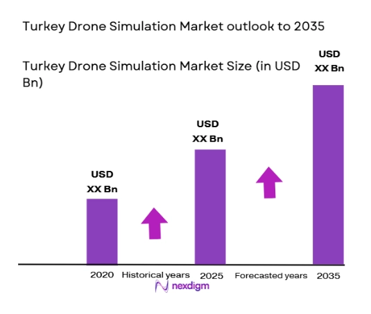 Turkey Drone Simulation market size