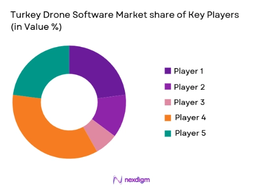 Turkey Drone Software market share of key players