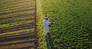 UAE Agrochemical Market Outlook to 2035