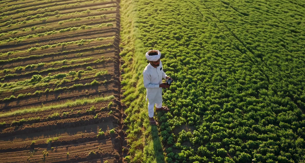 UAE Agrochemical Market Outlook to 2035 UAE-Agrochemical-