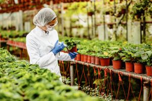 UAE Agrochemical Market to Grow at 5–6% CAGR Through 2035 as Greenhouse Farming Covers Over 40% of Local Crop Output