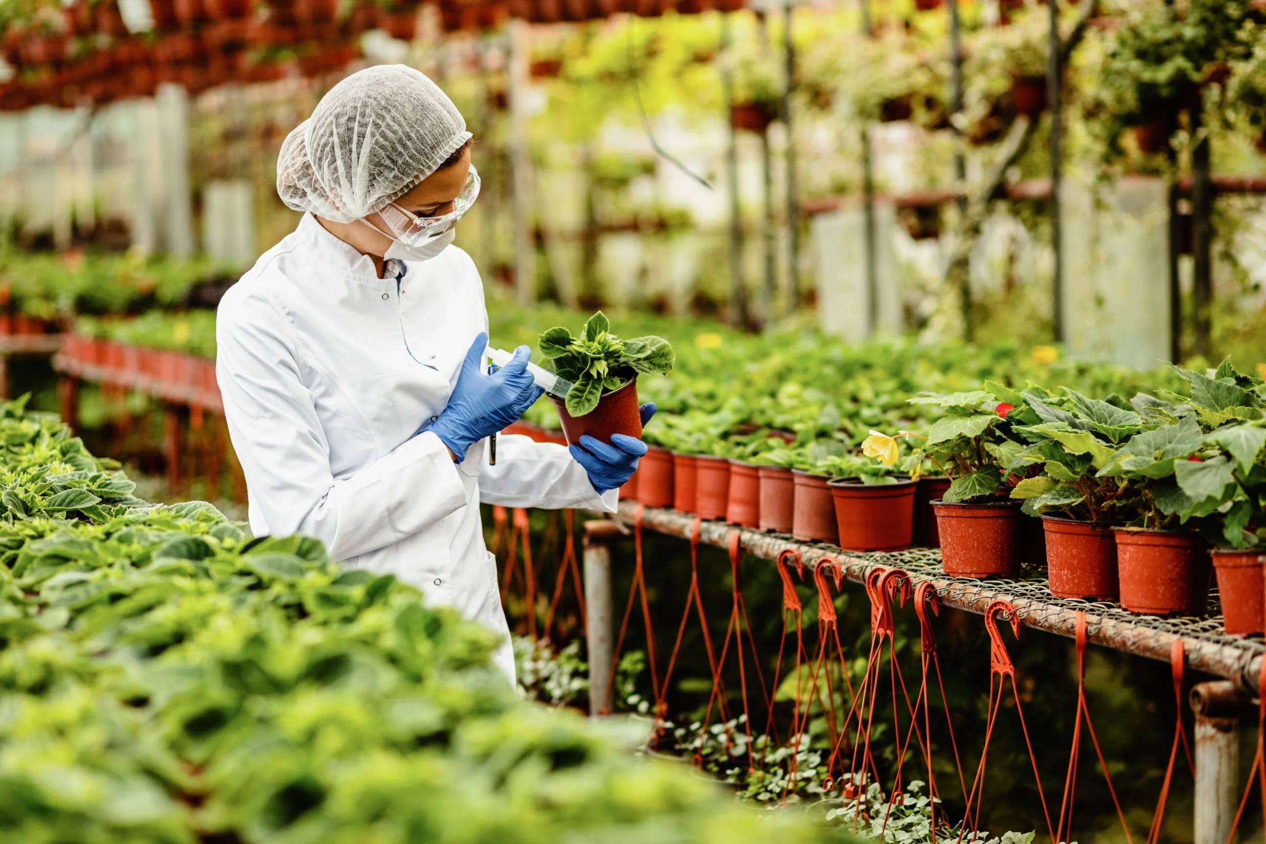 UAE Agrochemical Market to Grow at 5–6% CAGR Through 2035 as Greenhouse Farming Covers Over 40% of Local Crop Output UAE-agrochemical-industry-scaled