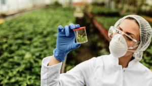 USA Agrochemical Market Outlook to 2035