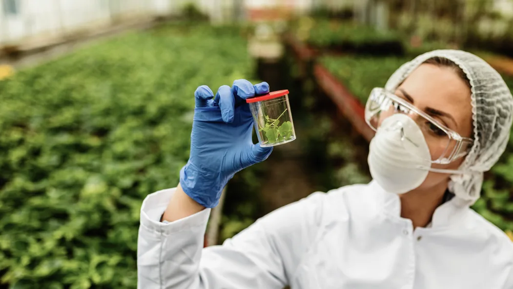 USA Agrochemical Market Outlook to 2035 USA-Agrochemical